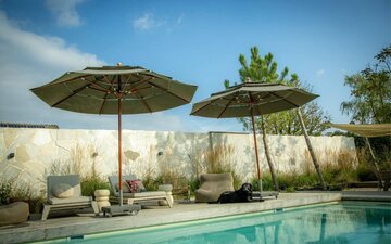 Lasagna Pro / Ø330cm