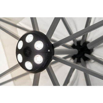 Palestro Pro 400x400 Claassen Buitenbeleving